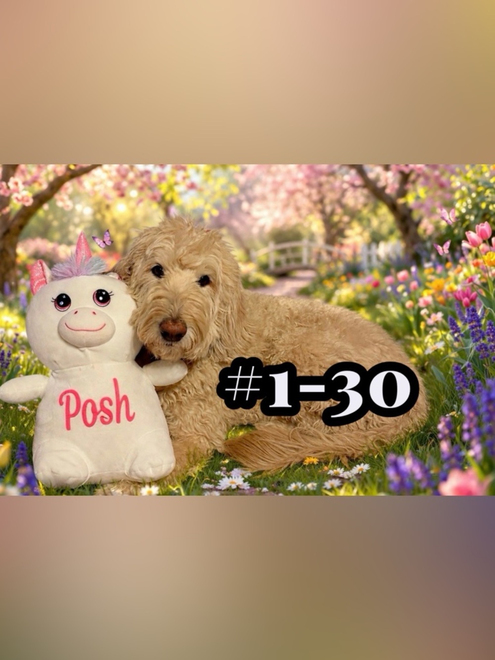 April 10 Pop-up Unlisted item-as described in live show. I hope you love it💖